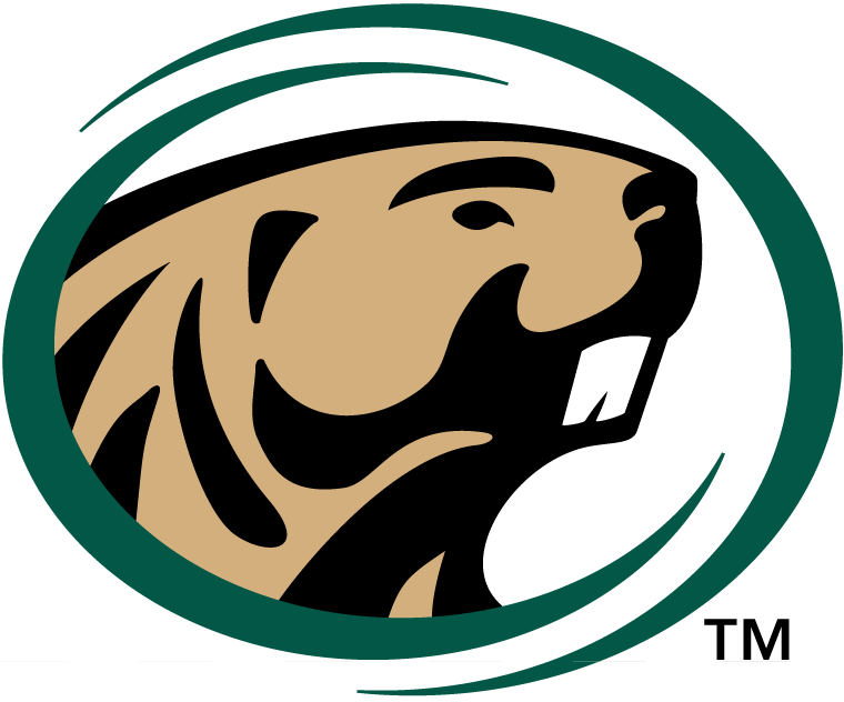 Bemidji State Beavers iron ons